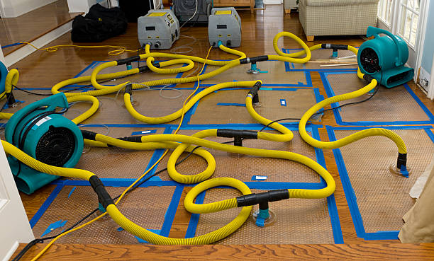 Professional Burst Pipe Water Damage technician working in Cleburne, TX